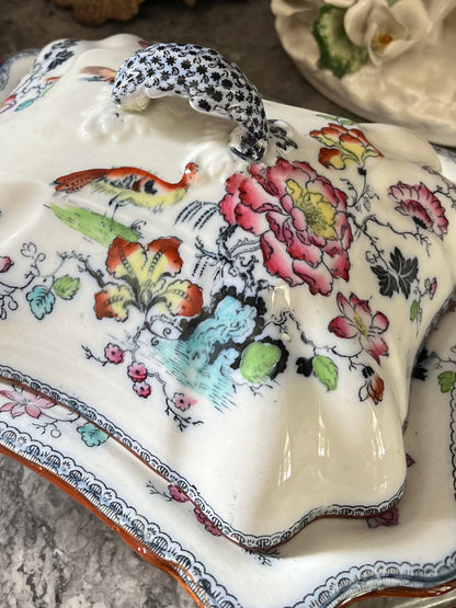 Live 07/28 Stunning Early Ashworth Bros Lidded Vegetable Dish - Footed With Florals/Birds/Contrasting Handles And Trim - Original Ribbon Mark 1860’s