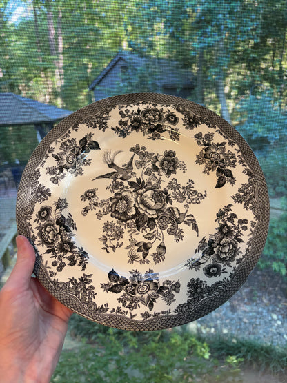 Lovely Asiatic Pheasant black and white transferware plate!
