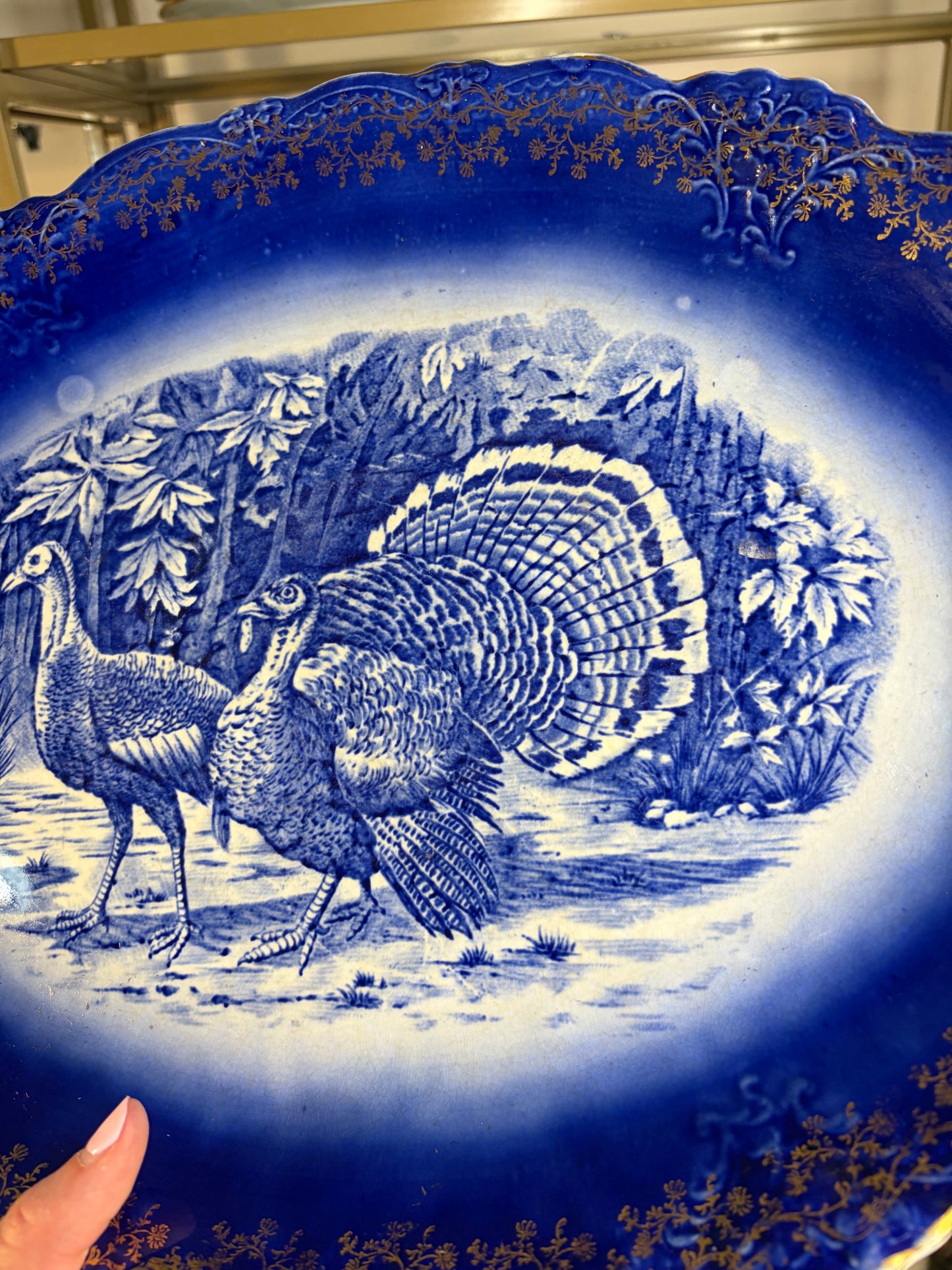 Antique flow blue turkey platter with gold details!