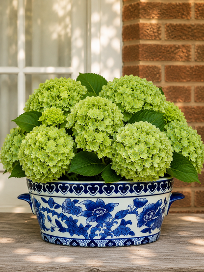 Danny's Fine Porcelain: Blue & White Porcelain Footbath Planter (Multiple Sizes) - Sold Separate