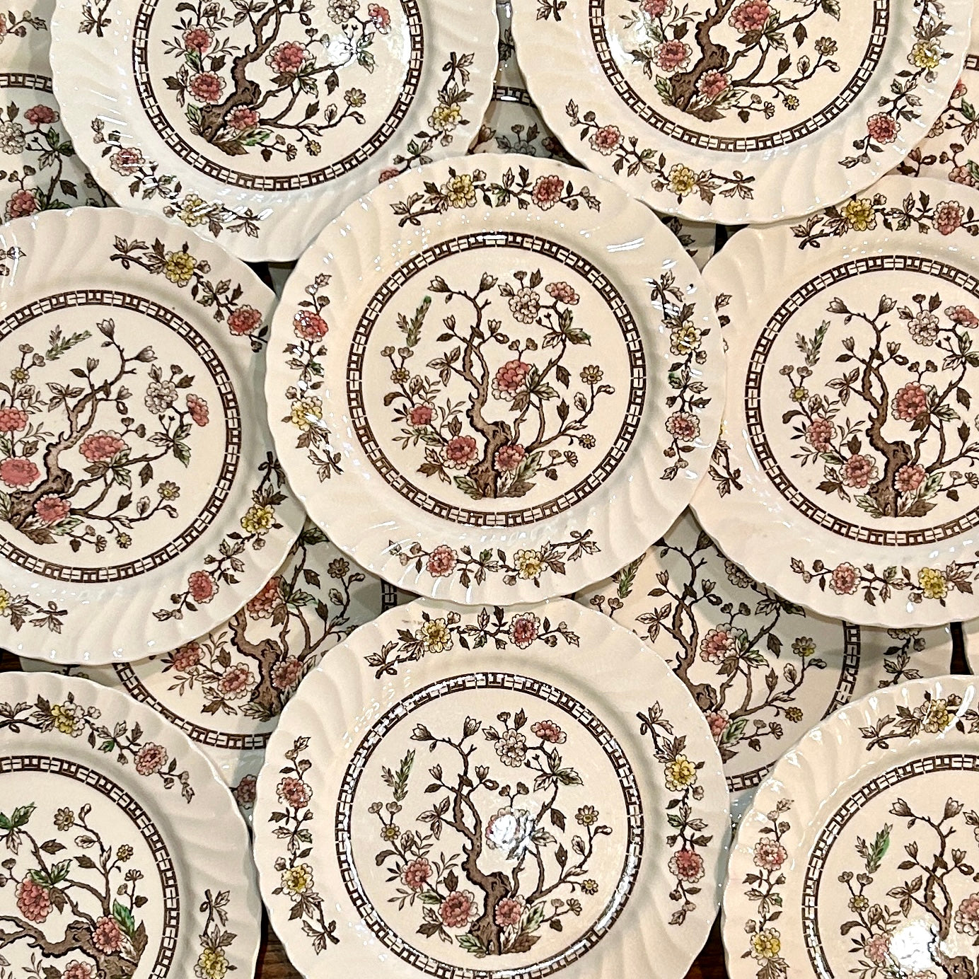 Set of 18 vintage Kashmir tree stunning scalloped dinner plates 10d