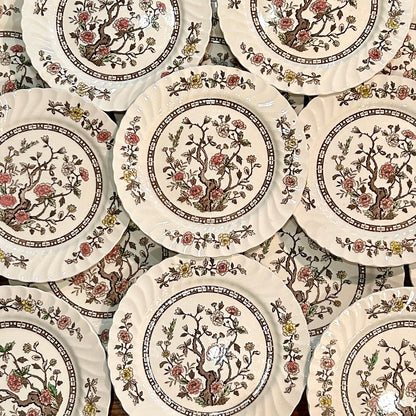 Set of 18 vintage Kashmir tree stunning scalloped dinner plates 10d