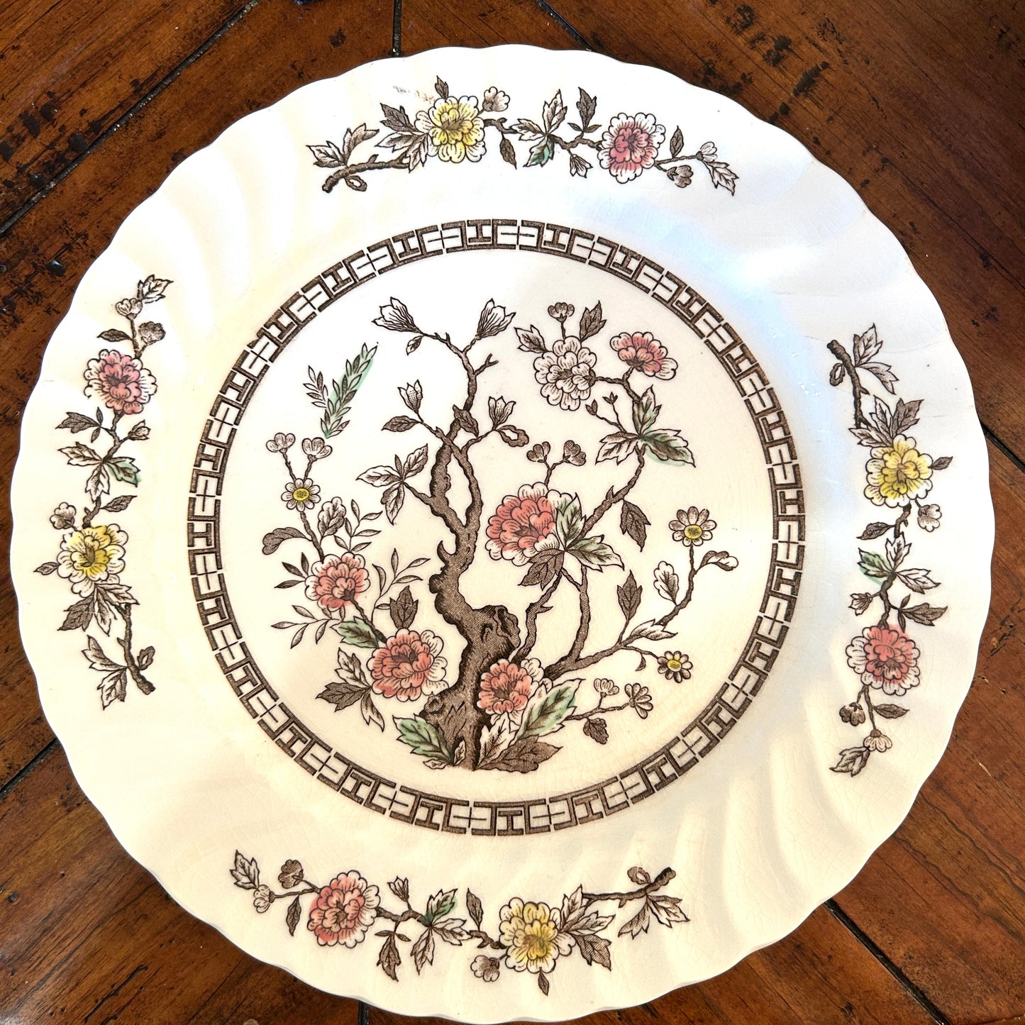 Set of 18 vintage Kashmir tree stunning scalloped dinner plates 10d