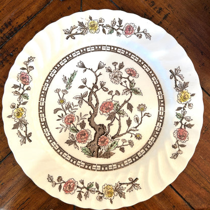 Set of 18 vintage Kashmir tree stunning scalloped dinner plates 10d