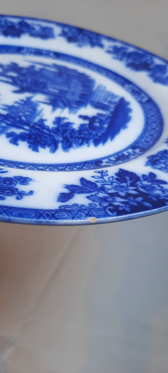 Flow blue transferware set of 2 plates, by Royal Doulton Madras