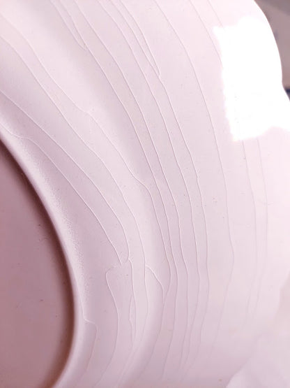 Blue and White 16 piece Porcelain set by Johnson Brothers