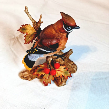 Cedar Waxwing Bird On Branch By Andrea Sadek