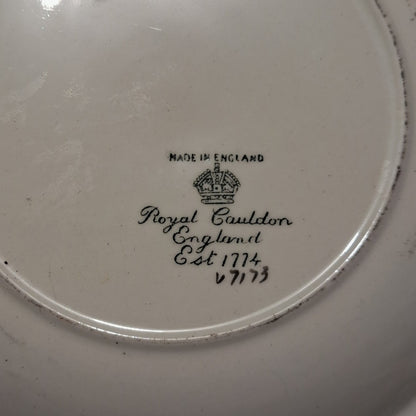Vintage Royal Cauldon 8 piece Dinner Set, Very Nice!!