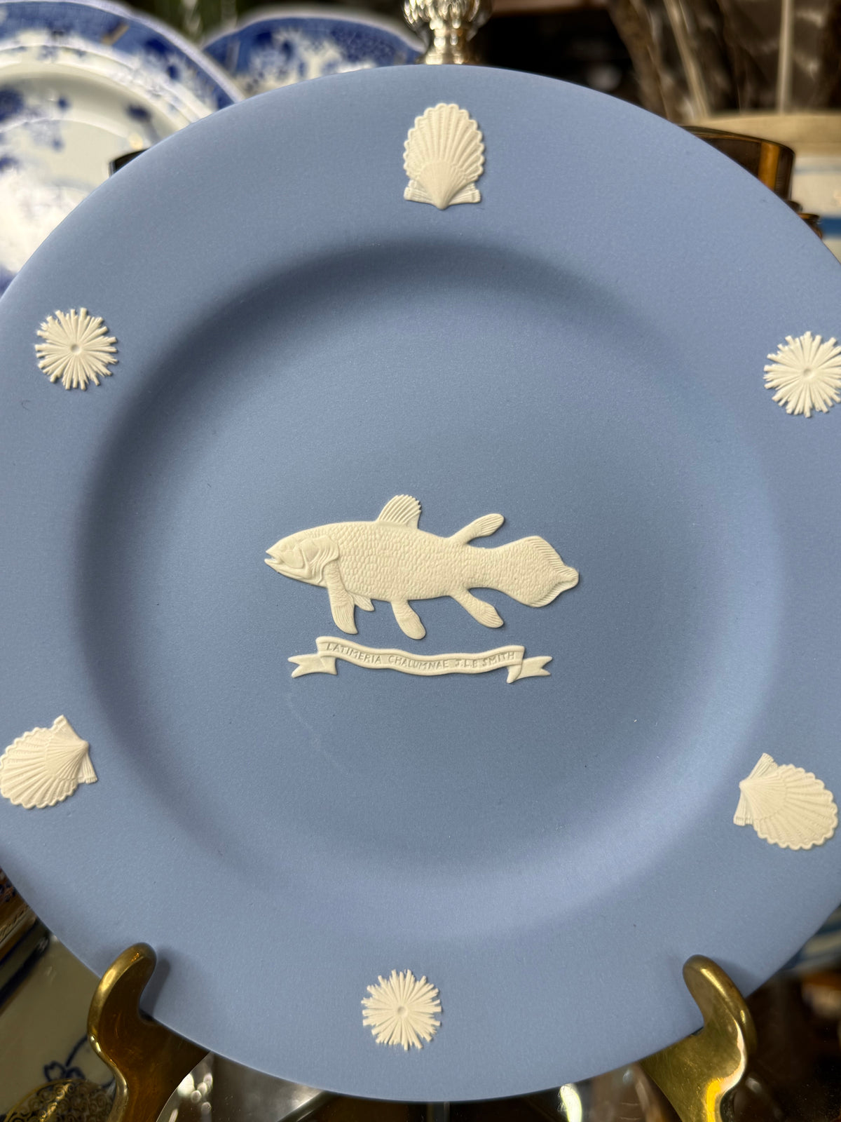 Vintage Wedgwood Blue Jasperware Marine Fish & Shell Collector Plate | Made in England | 6.5” D