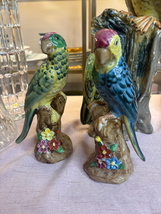 Lovely parrots pair!