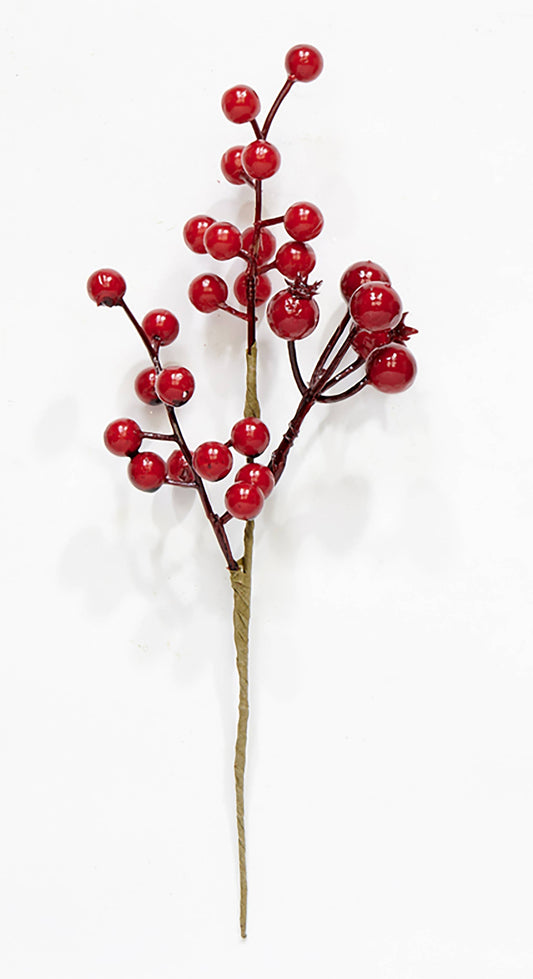 10" Wp Berry Pick: Red
