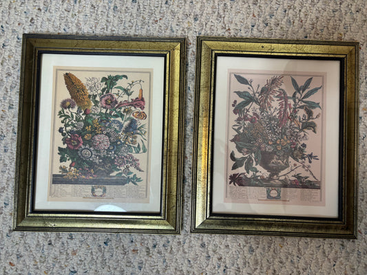 Framed Robert Furber January month print!