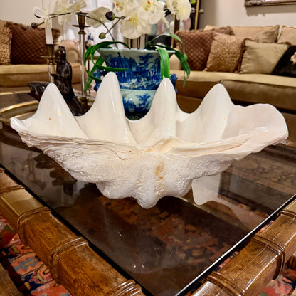 The elusive Vintage massive clam shell centerpiece planter