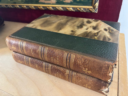 Antique 1901 Balzac books pair!