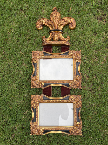 Beautiful Fleur de Lis picture frame wall hanging!