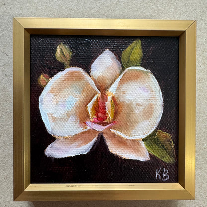 Mini art orchid original oil paintings on stretched canvas 3x3”