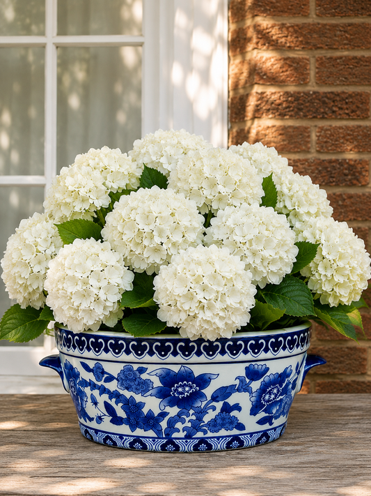 Danny's Fine Porcelain: Blue & White Porcelain Footbath Planter (Multiple Sizes) - Sold Separate