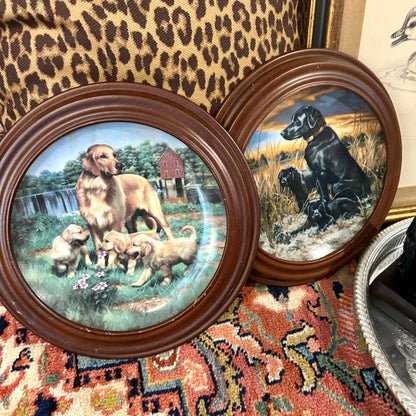 Set of 2 vintage wood framed lab & golden  collectors dog plates