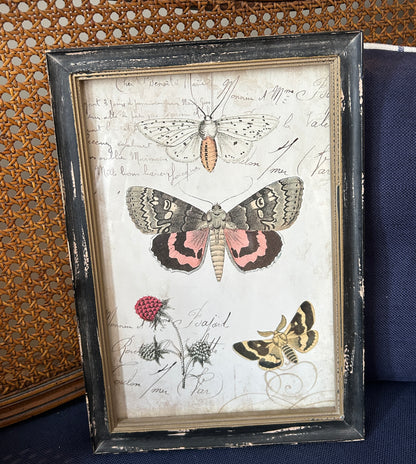 vintage butterfly & botanical wall art