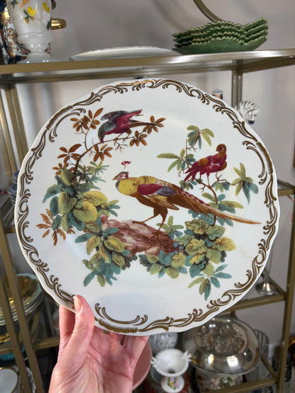 Gorgeous Andrea by Sadek Exotic birds plates set of 3!