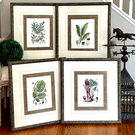 Stunning custom set of 4 designer vintage botanical lithograph wall art.