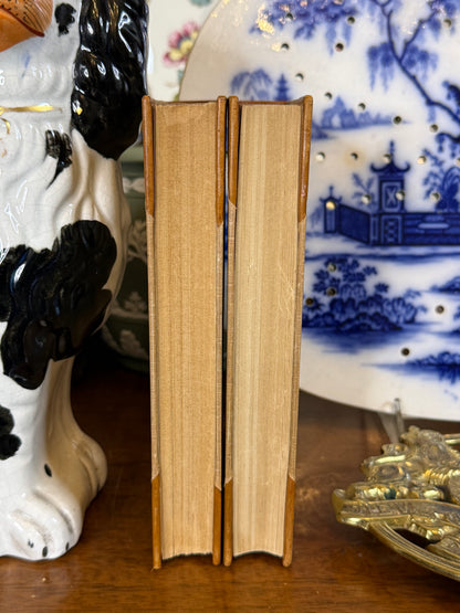 Antique French Leather Bound Book Pair | Les Cent Nouvelles Nouvelles & Lettres de Mon Moulin | Paris Editions | DA4259