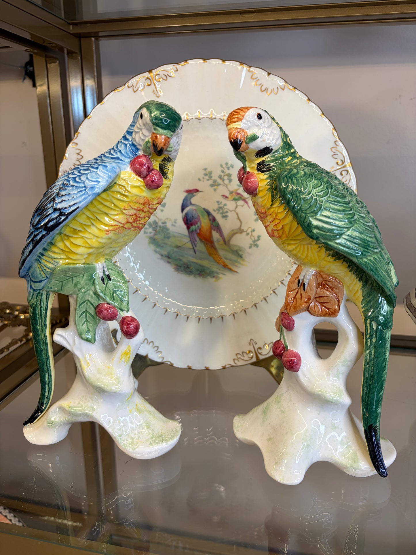 Stunning Chelsea House parrots pair!