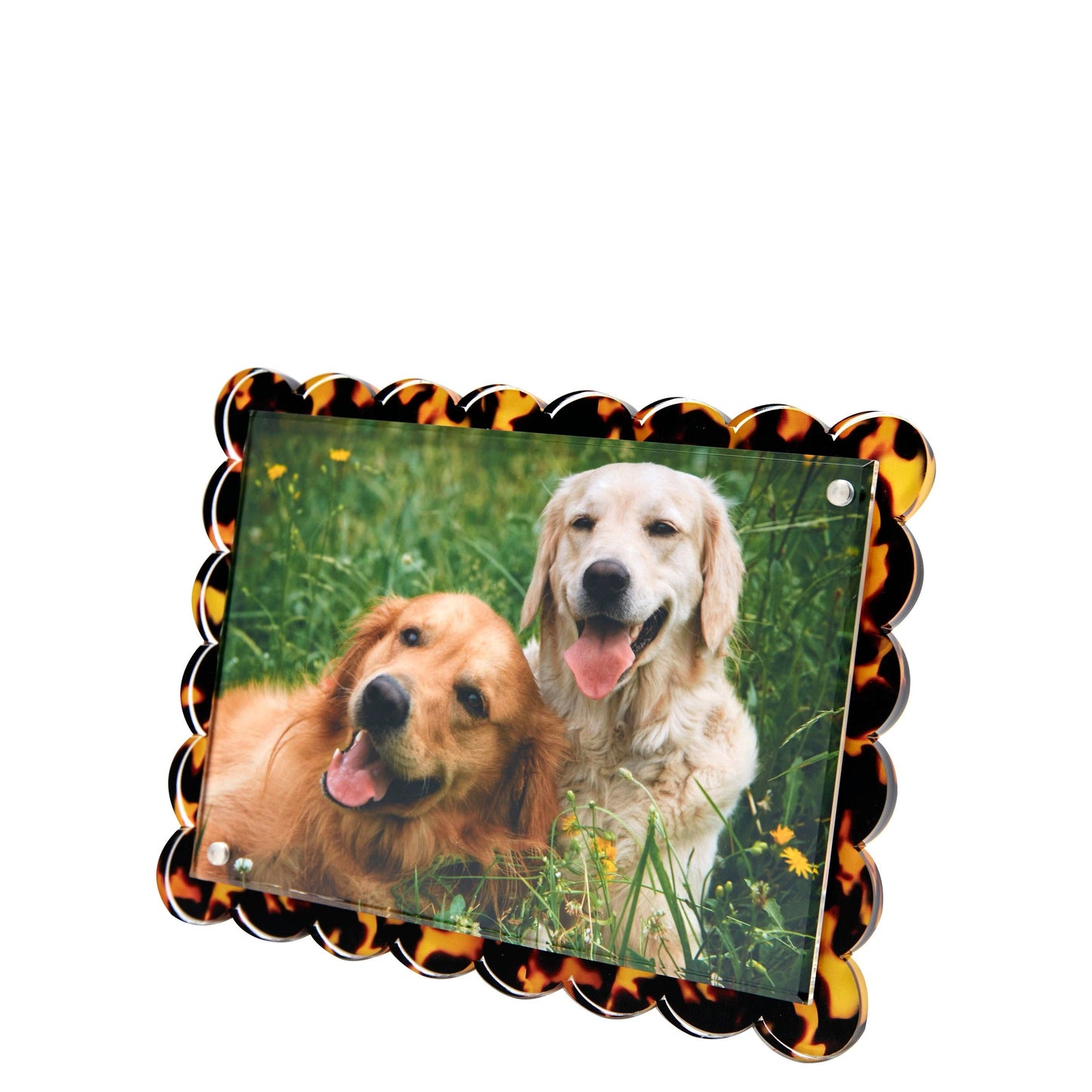 Tara Wilson Designs | Tortoise Scalloped Acrylic Frame | Fits 5" x 7" Photo