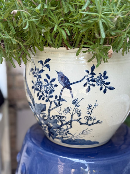 Danny’s Fine Porcelain - Blue & White, 10" Tall, Hand painted Planter/Pot Bird Design
