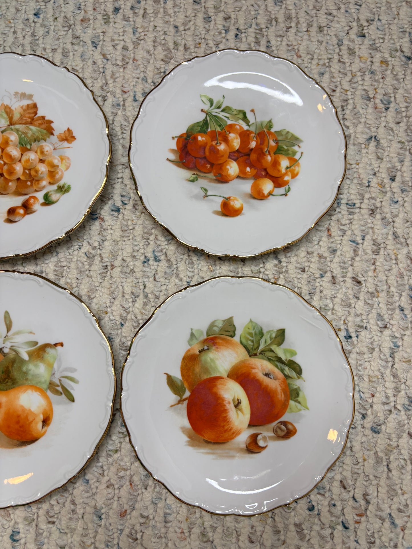 Beautiful Bavaria Fruit Plates set of 6!