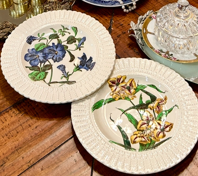 Set of 2 antique rare vintage designer botanical plates by Royal Cauldon England 10 d
