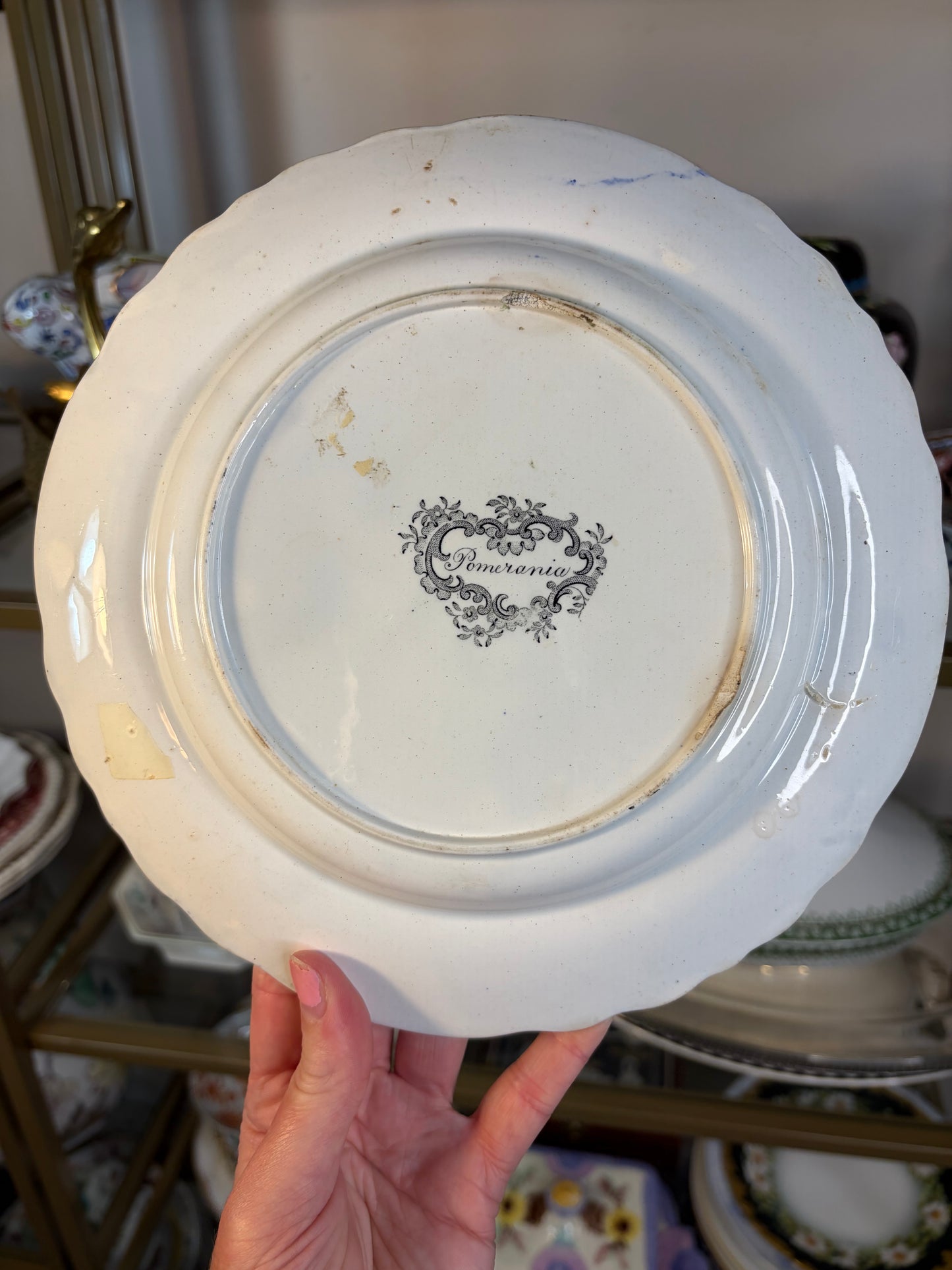 Antique black and white transferware plate!