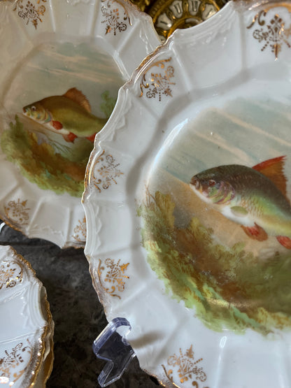 Beautiful Set of 6 Antique Gilded Fish Plates