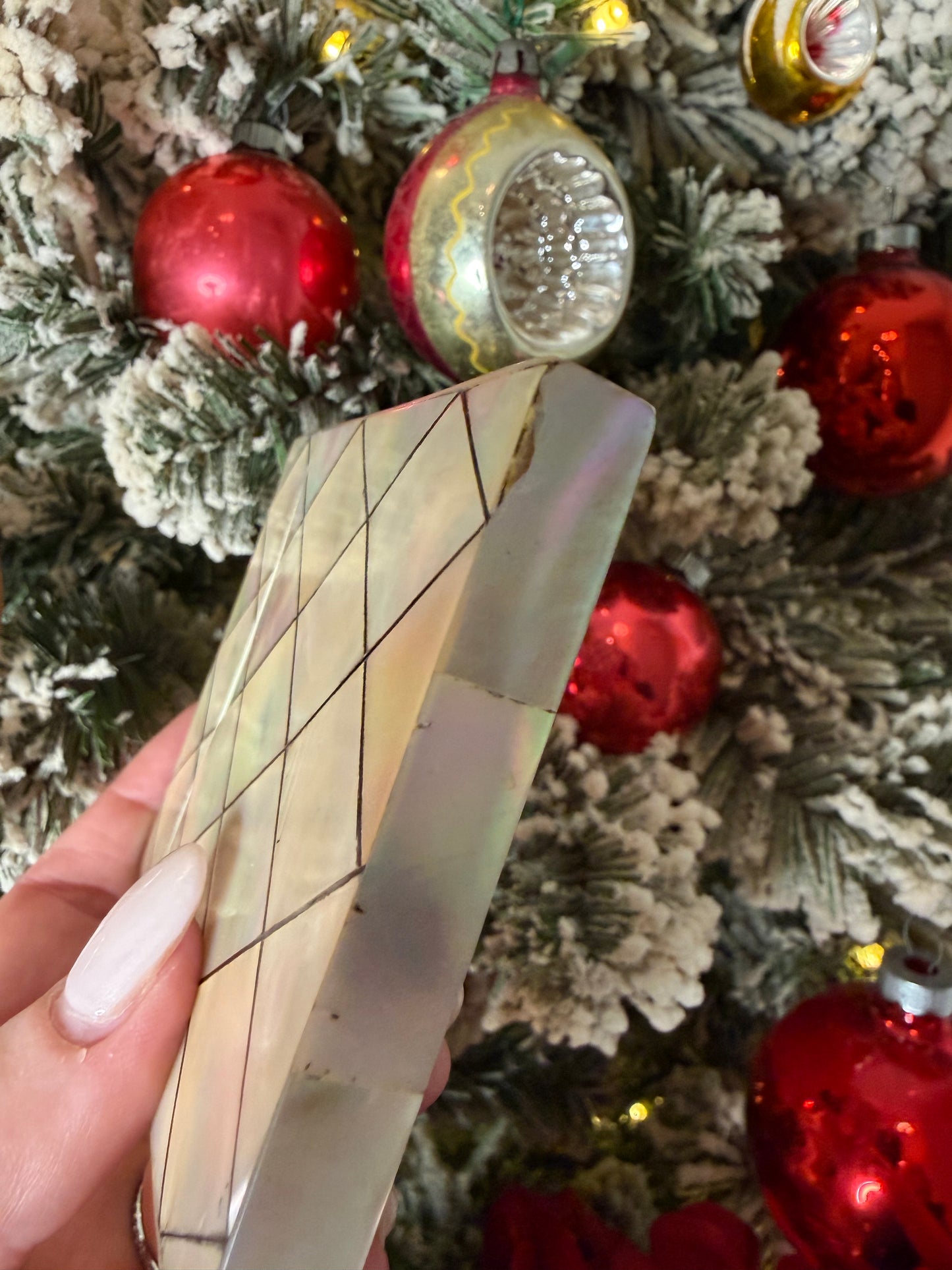 Stunning Antique Victorian Mother of Pearl “Calling Card Case”