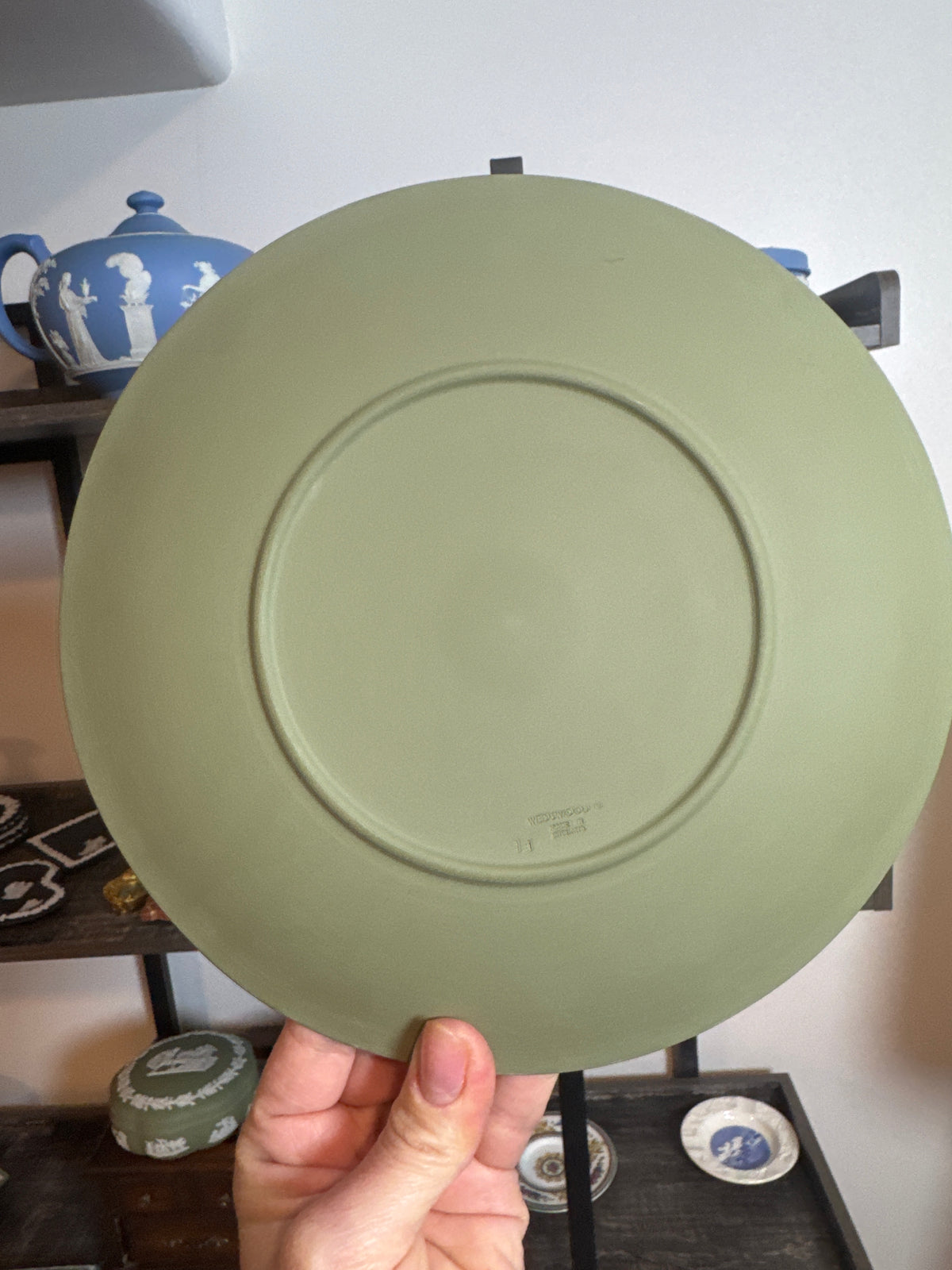 Wedgwood sage green cherub shell 9” plate