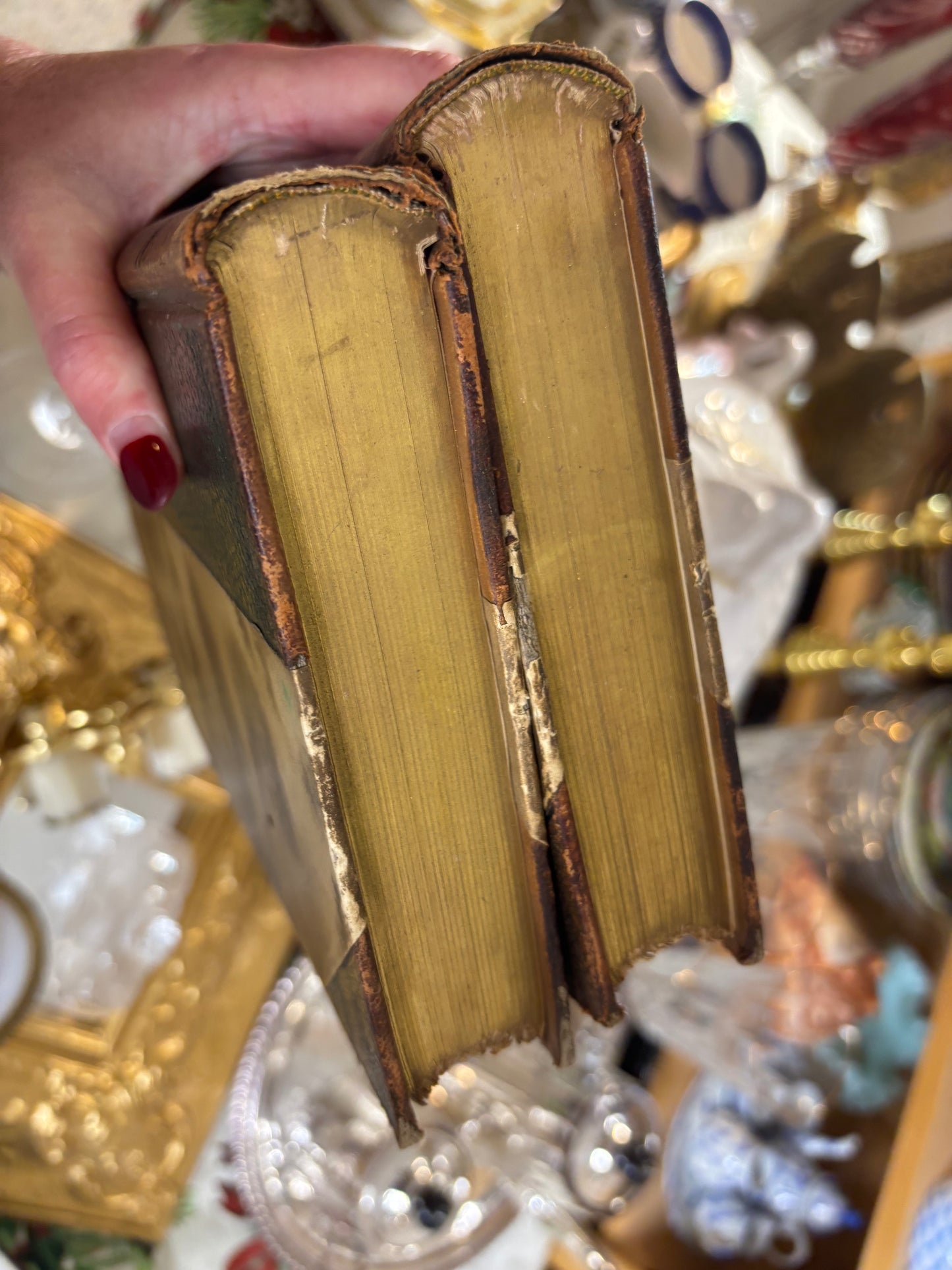 Stunning antique leather-bound volumes of the works of Honoré de Balzac, specifically Volume XXII, Cousin Pons, and Volume XXIX, The Chouans!
