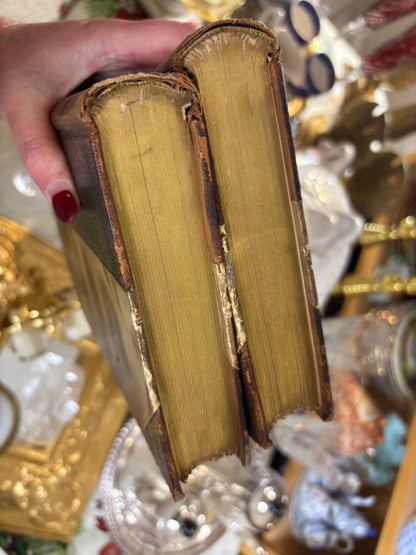 Stunning antique leather-bound volumes of the works of Honoré de Balzac, specifically Volume XXII, Cousin Pons, and Volume XXIX, The Chouans!