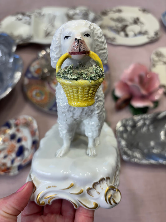 Stunning Mottahedeh dog with basket!