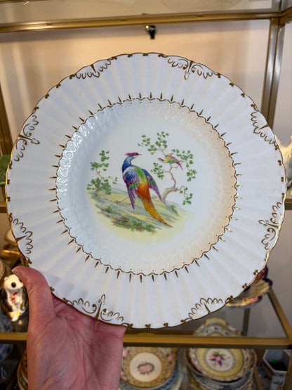 Gorgeous Royal Crown Derby Lowestoft Pheasant plates set of 6! As is!