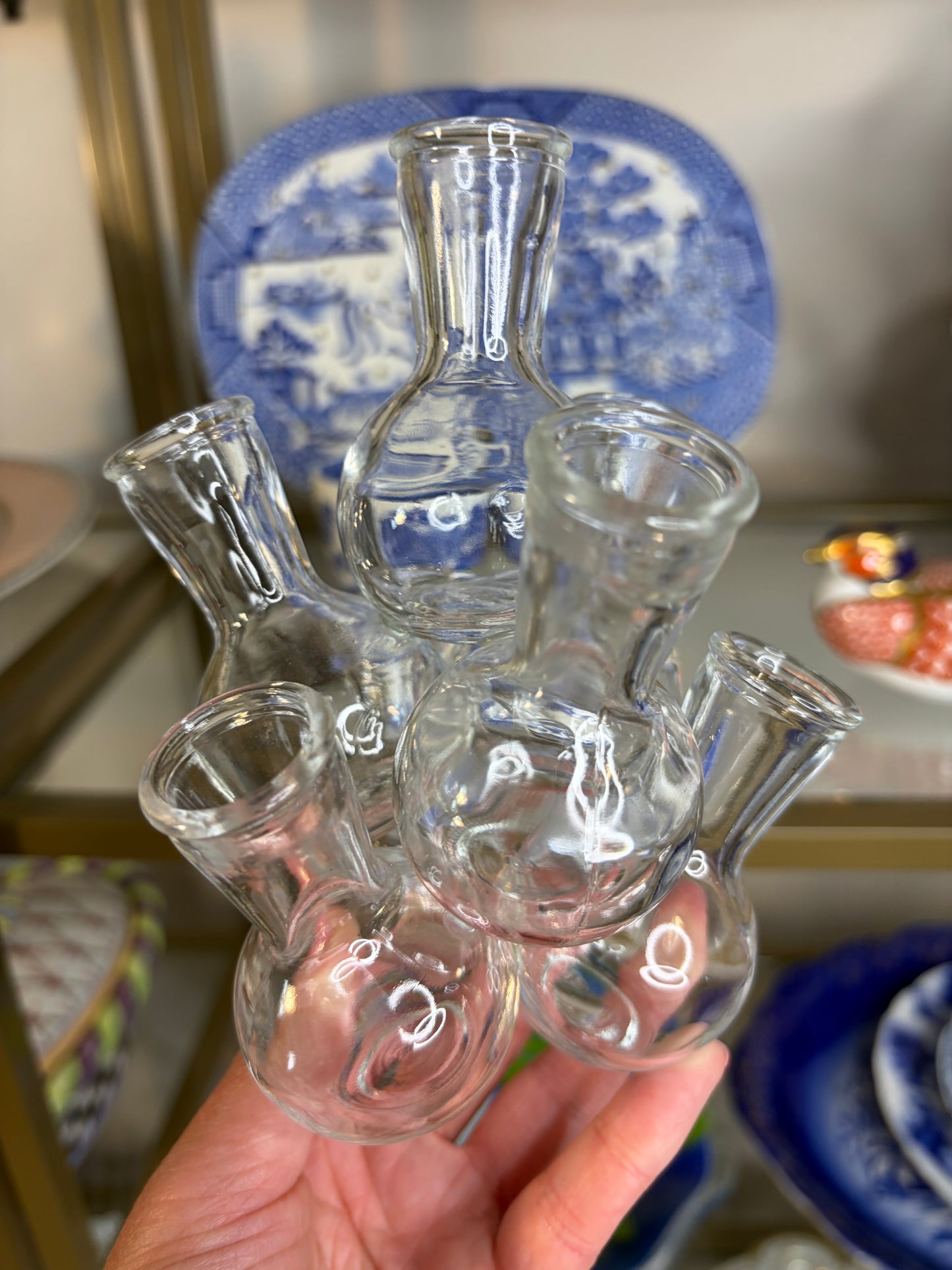 Vintage Propagation bud vases cluster!