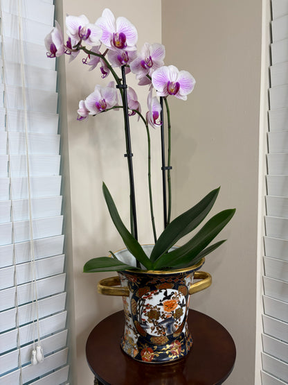 Beautiful Imari colors cachepot with gold handles!