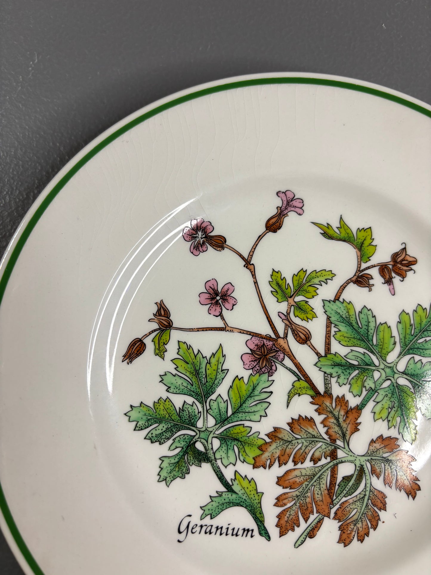 Beautiful Tiffany & Co. Johnson Brothers botanical plates set of 2!