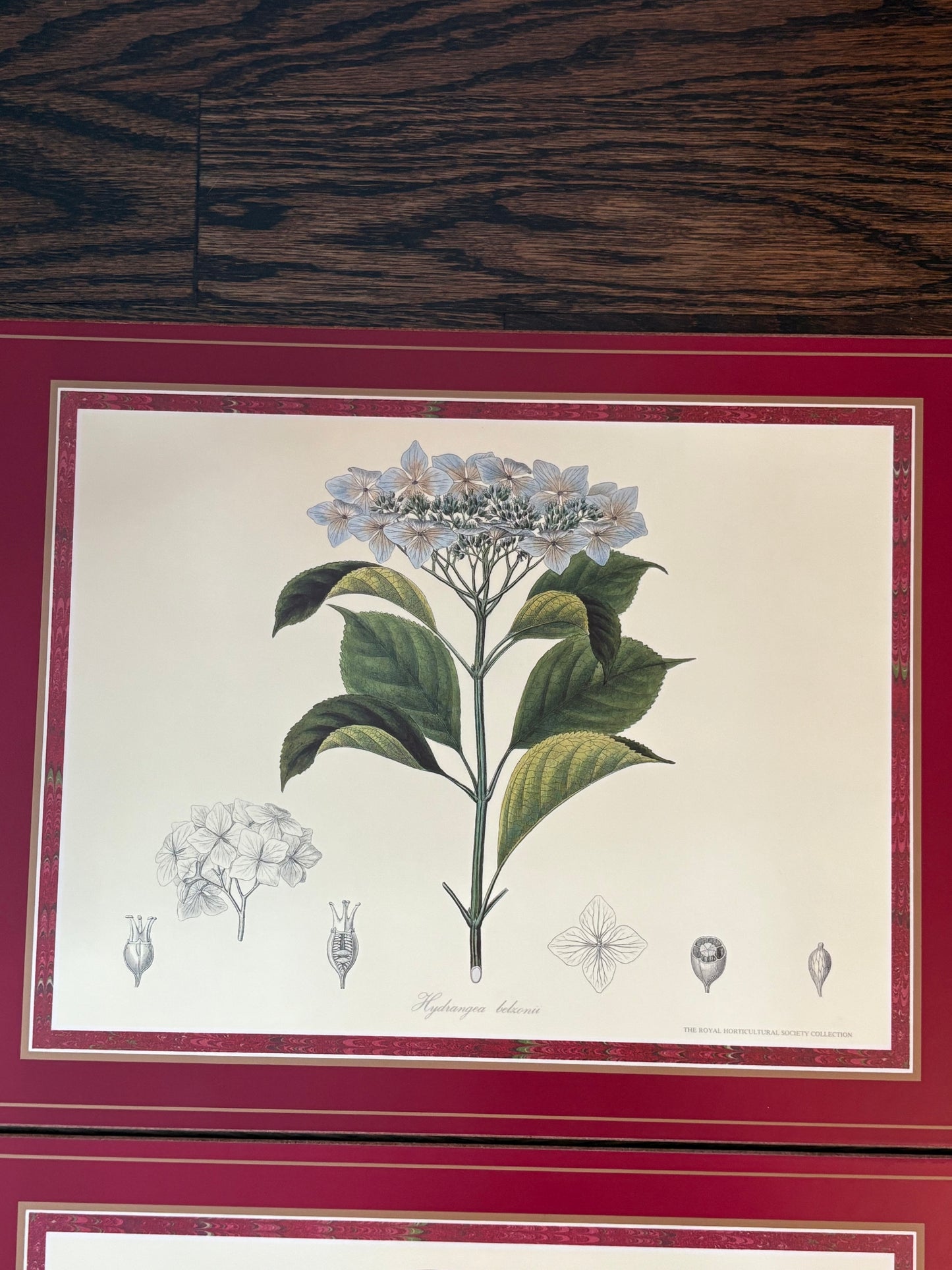 Set (4) Pimpernel Placemats