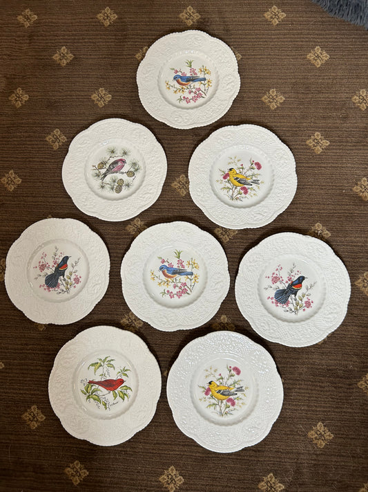 Set of 8 Royal Cauldon Bird Plates