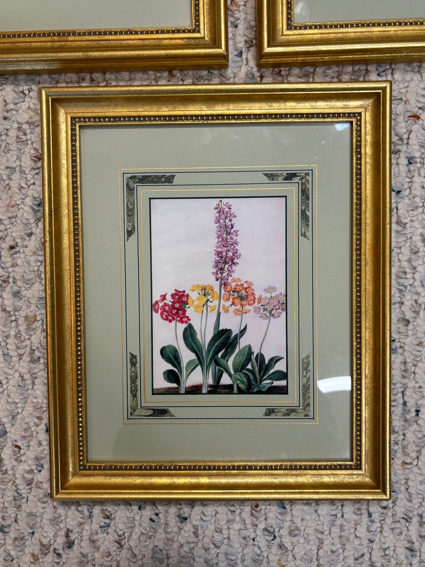 Lovely framed florals trio!