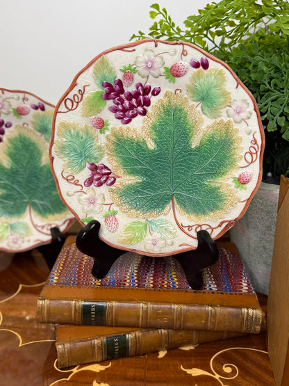 Pair of Antique Victorian Majolica-Style Botanical Plates | 8.5" Diameter