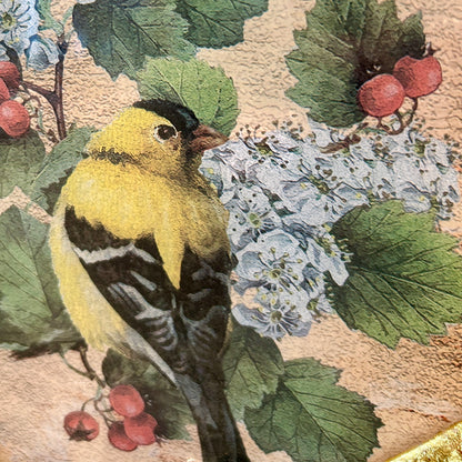 stunning glass vintage octagon  bird plate 10d