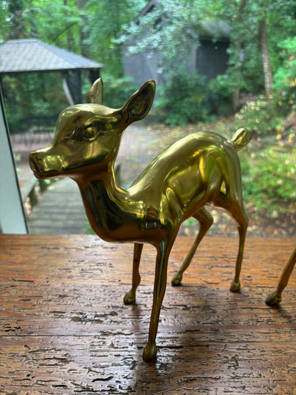 Beautiful large brass deer pair measuring 12.5” and 9.5” tall!