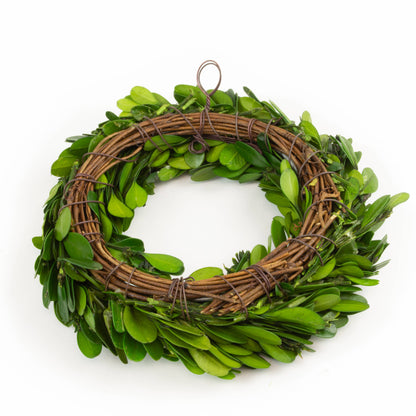Preserved Boxwood Candle Ring - 6 Inch