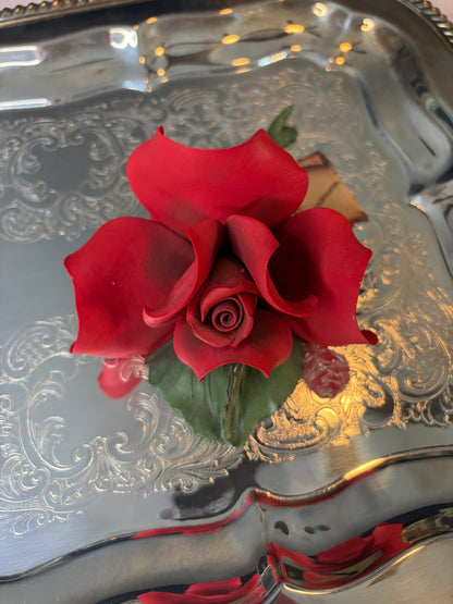 Lovely Capodimonte rose!